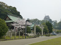 福山市,神社,安産祈願,備後護国神社